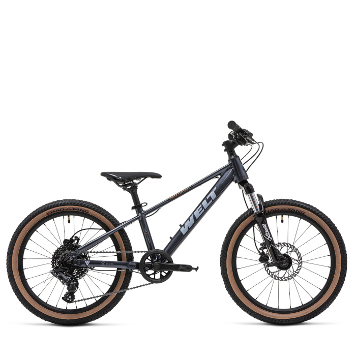 Велосипед детский WELT Brave 2.0 20 HD (темно-серый)