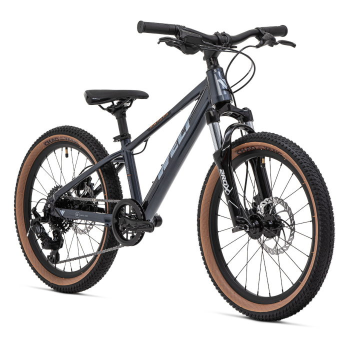 Велосипед детский WELT Brave 2.0 20 HD (темно-серый)