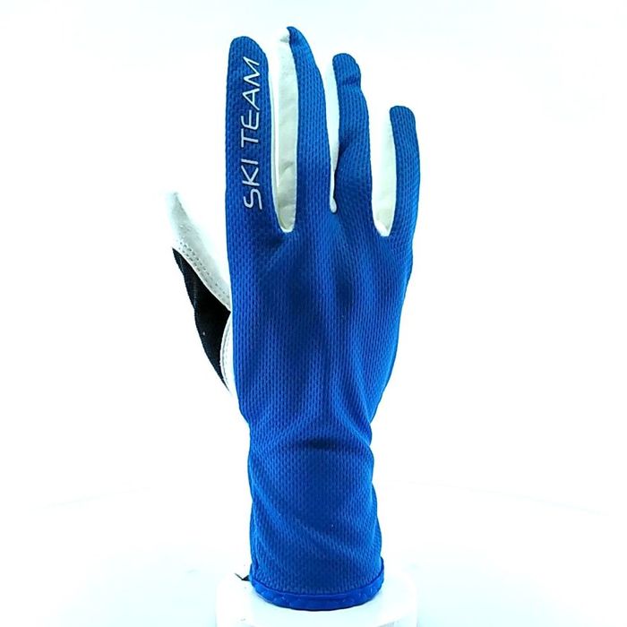 Перчатки для лыжероллеров SKI TEAM Roller (голубой)