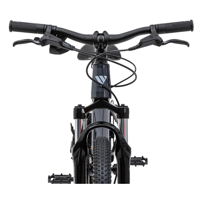 Велосипед детский WELT Brave 2.0 20 HD (темно-серый)