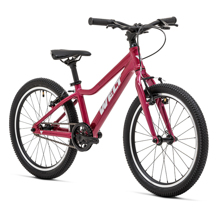 Велосипед детский WELT Moovix 1.0 20 V (розовый)