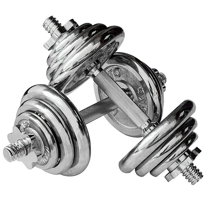 Гантель SPORTEX в кейсе 20 кг (2 шт. х10,0 кг) "York" (серый)
