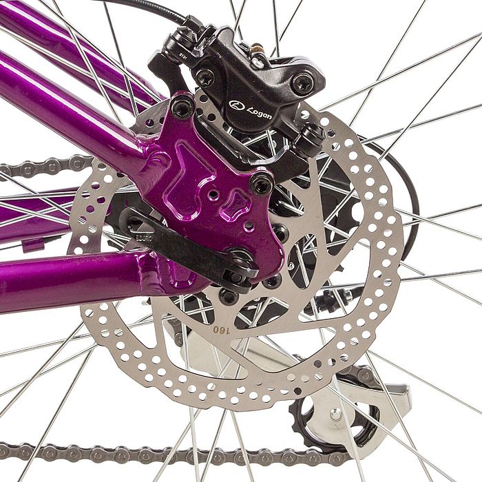 Велосипед STINGER Vega Evo 29&quot;, Al, H-Disk Brake, 24-Speed (фиолетовый) (2021)