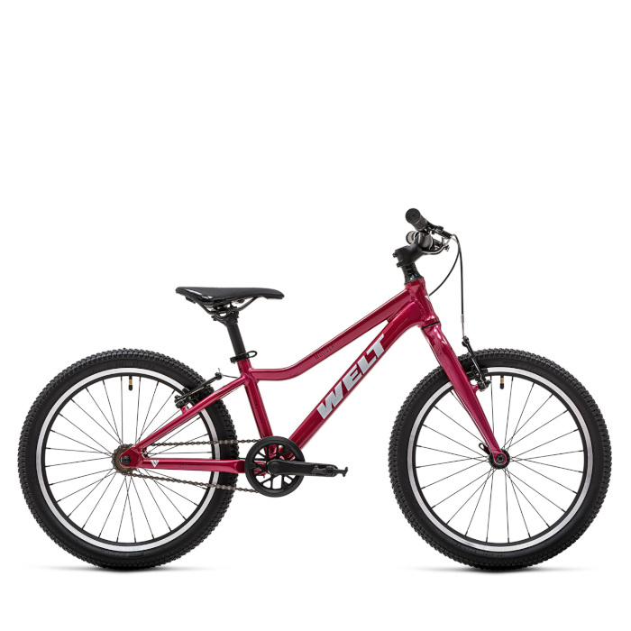 Велосипед детский WELT Moovix 1.0 20 V (розовый)