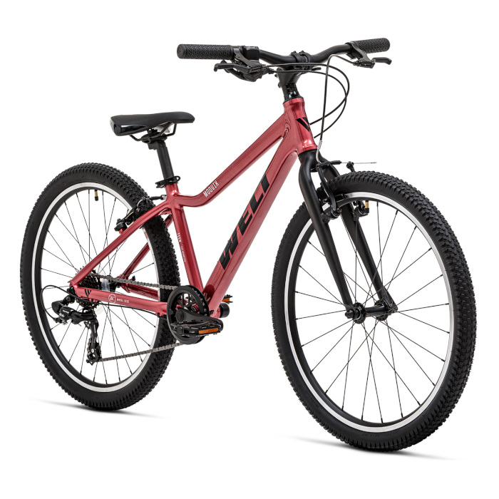 Велосипед подростковый WELT Moovix 1.0 24 V (розовый)