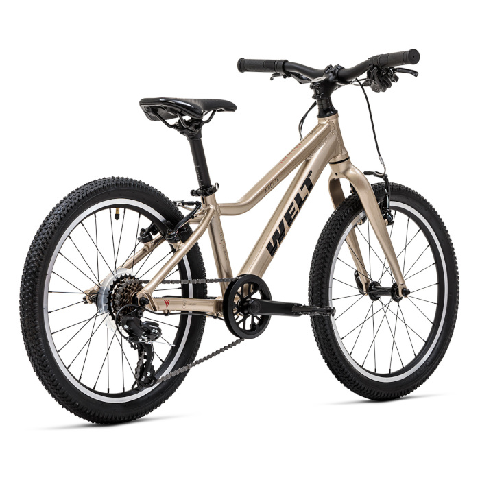 Велосипед детский WELT Moovix 2.0 20 VB (золотой)