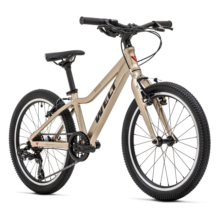 Велосипед детский WELT Moovix 2.0 20 VB (золотой)