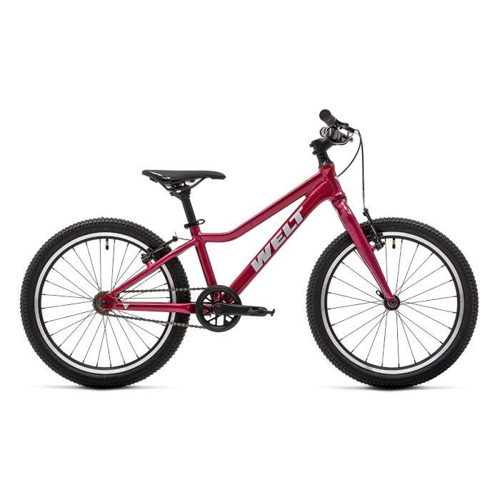 Велосипед детский WELT Moovix 1.0 20 V (розовый)