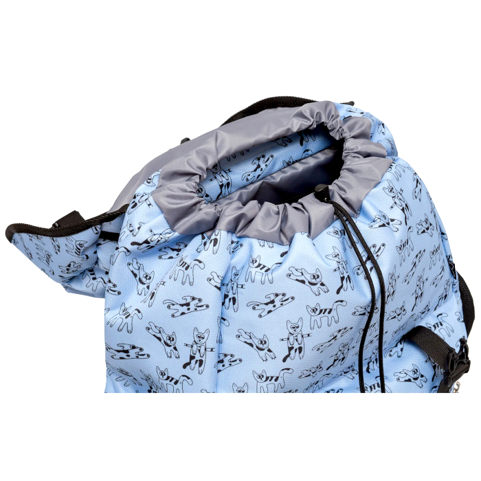 Рюкзак городской ENKLEPP Gravity Lid (голубой)