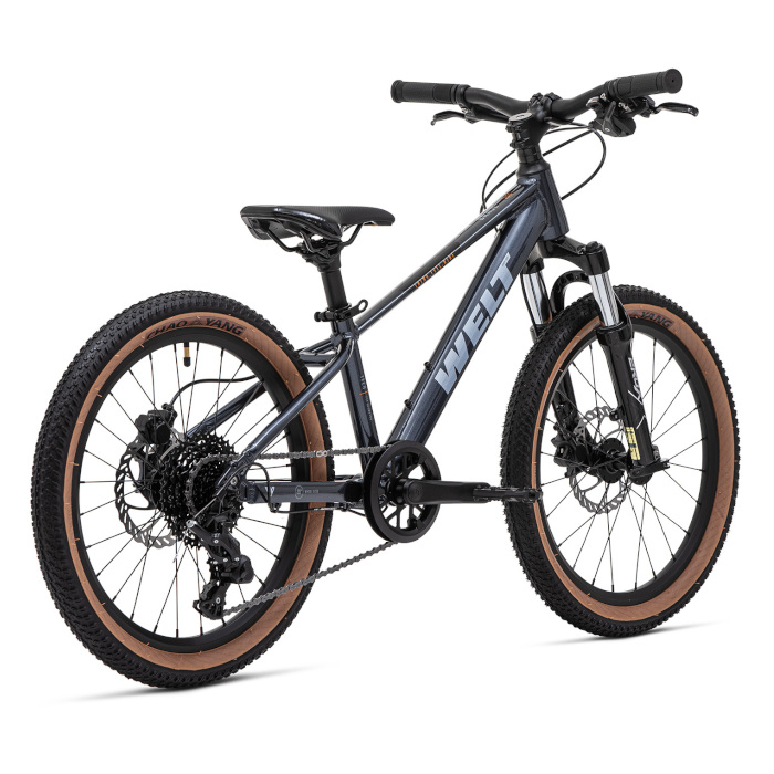 Велосипед детский WELT Brave 2.0 20 HD (темно-серый)