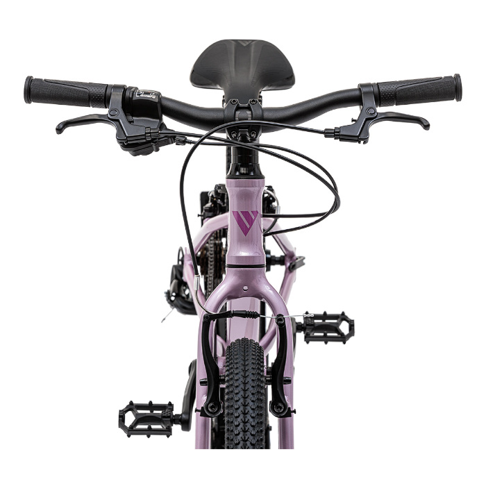 Велосипед детский WELT Moovix 2.0 20 VB (розовый)