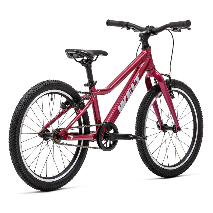 Велосипед детский WELT Moovix 1.0 20 V (розовый)