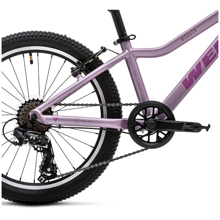 Велосипед детский WELT Moovix 2.0 20 VB (розовый)