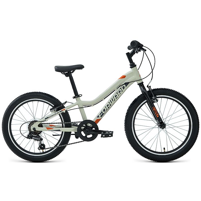 Велосипед FORWARD Twister 20 1.0 (серый/оранжевый) (20-21)