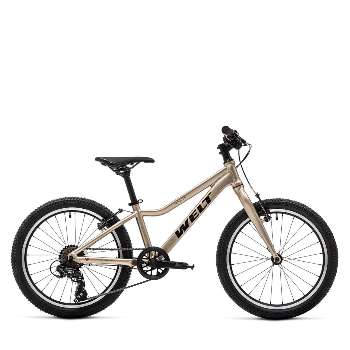 Велосипед детский WELT Moovix 2.0 20 VB (золотой)